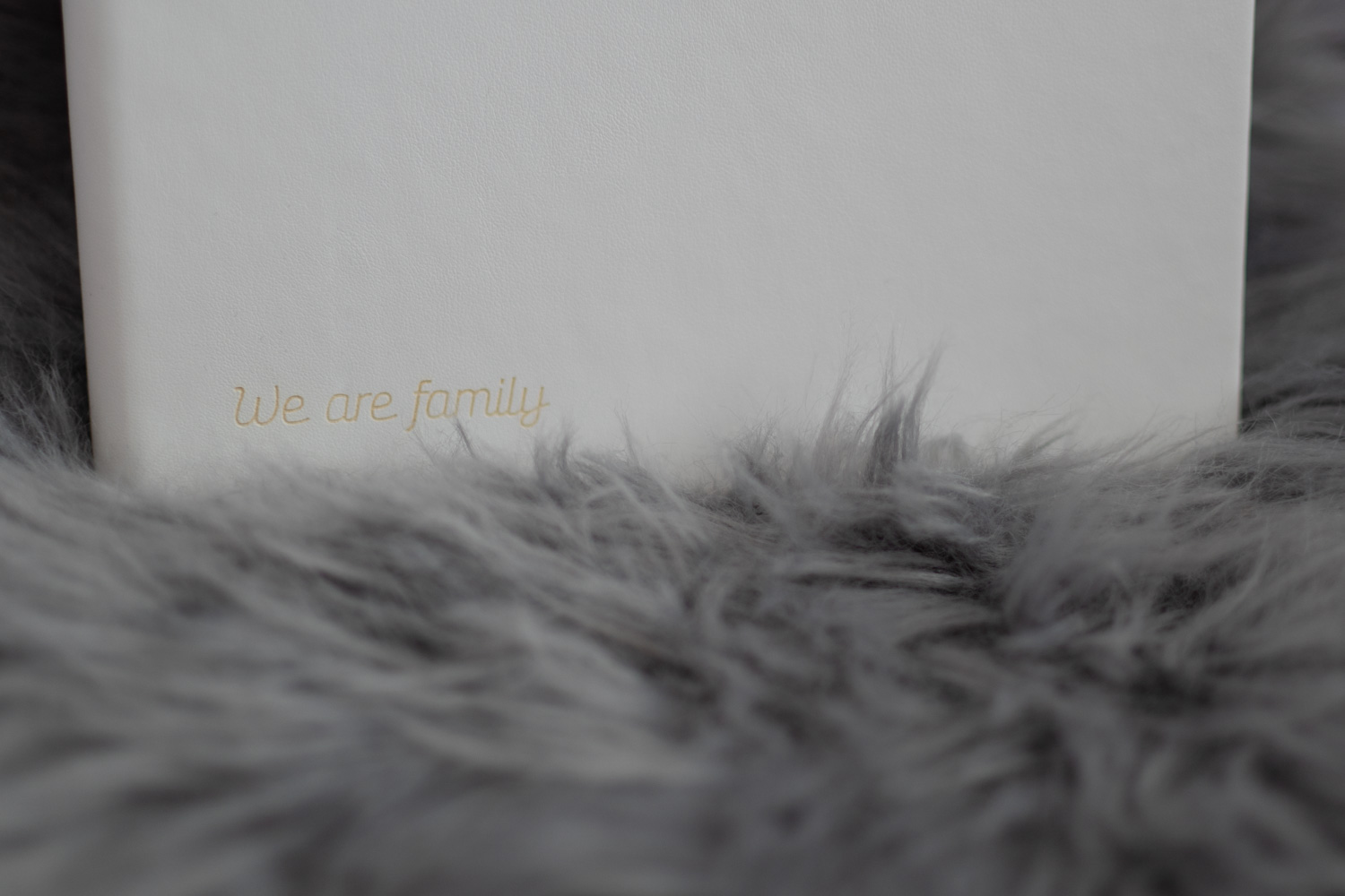 Fotos mit Geschwistern, Outdoor-Shooting, neugeborenenfotografie münchen, Fotos Rosenheim, fotograf rosenheim, fotograf rosenheim, Landshut, München, Familienfotos, Familienshooting, Bilder mit Geschwistern, Bruckmühl